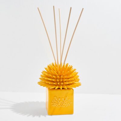 RICCIO CAPRESE | Lady Capri Giallo 100ML